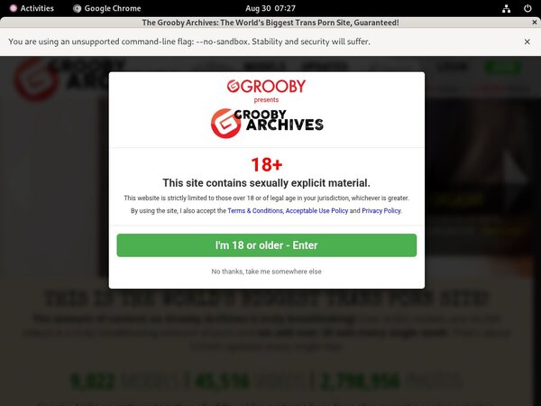 Access Thegroobyarchives Free