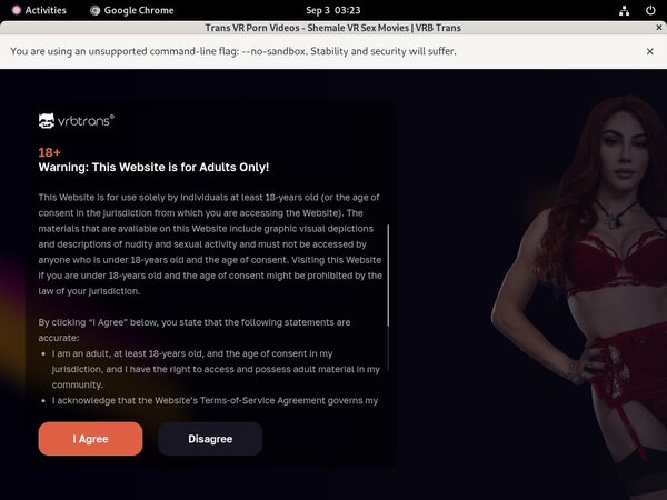 Access To Vrbtrans.com