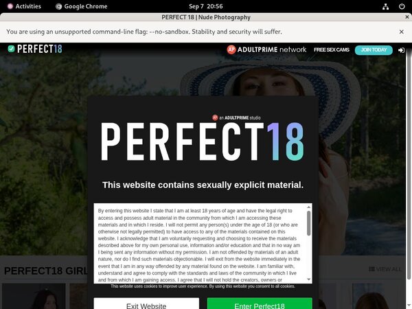 Accounts Perfect18.com