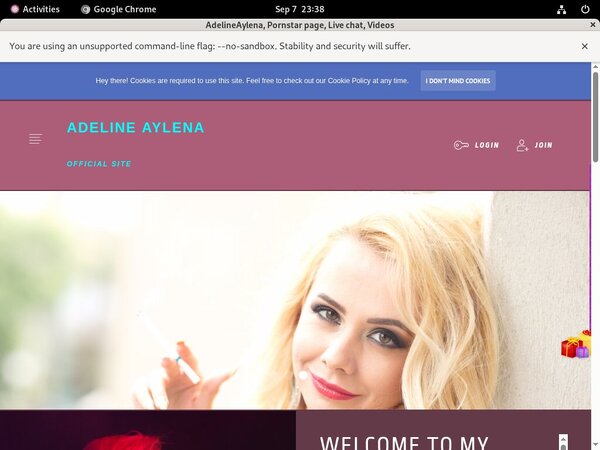 AdelineAylena Payment Form