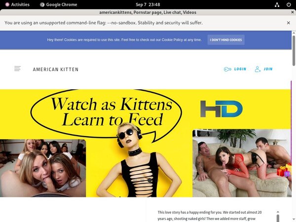 Americankittens Gay Videos