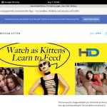 Americankittens With JCB Card
