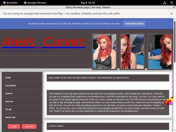 Ariel Discount Acc Ariel Discount Acc