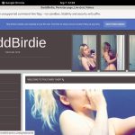 Baddbirdie.modelcentro.com Account Generator 2016