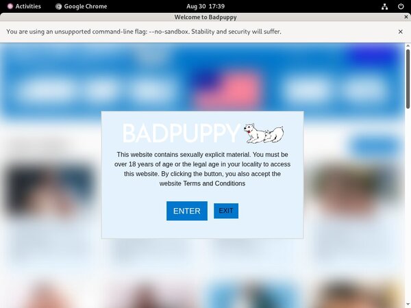 Badpuppy.com Hacked Account