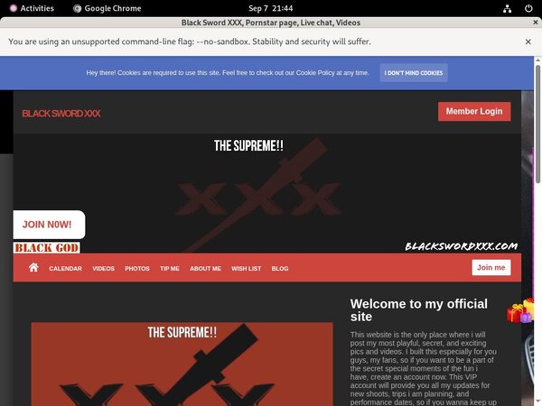 Blackswordxxx Update