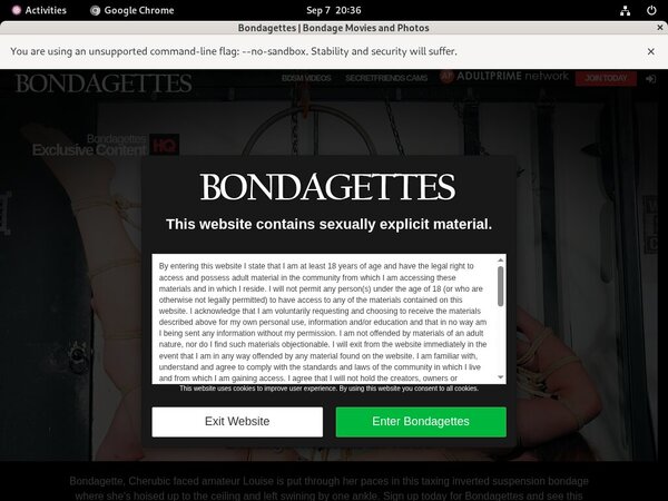 Bondagettes.com Paswords