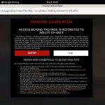 Bruthaload.treasureislandmedia.com Site Rip Download