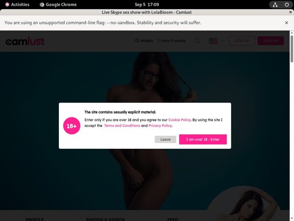 Camlust.com Vendo Page