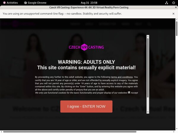 Czechvrcasting.com Galleries