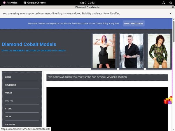 Diamonddivamodels.com Promo Tour