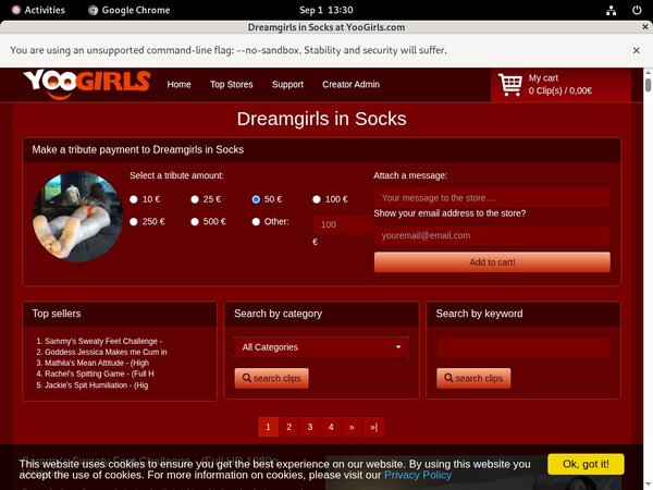 Dreamgirls In Socks Paypal Register