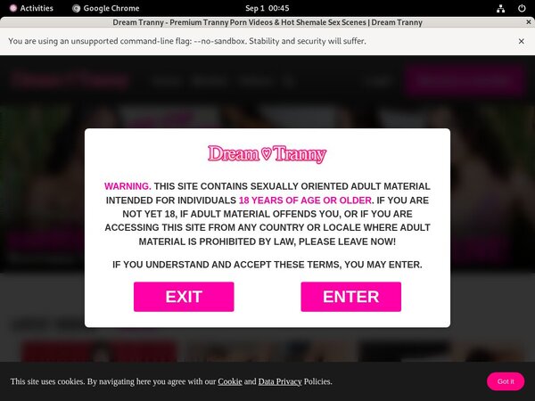 Dreamtranny.com Discount Promo