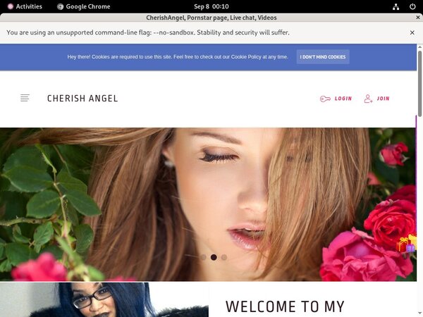 Free Accounts In CherishAngel