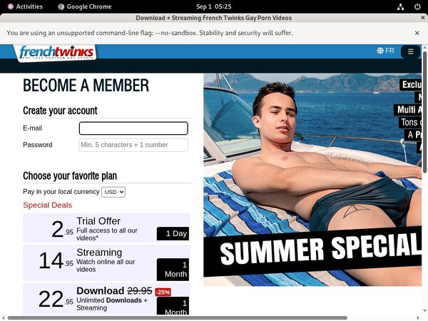 Free French Twinks Login