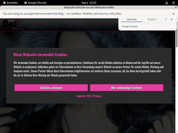 Free Logins For Lanagiselle.tv