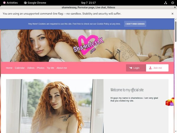 Free Logins For Noshamesg.modelcentro.com