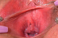 Gape My Pussy Asian s2 Gape My Pussy Asian s2