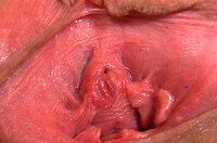 Gape My Pussy Free Collection s6