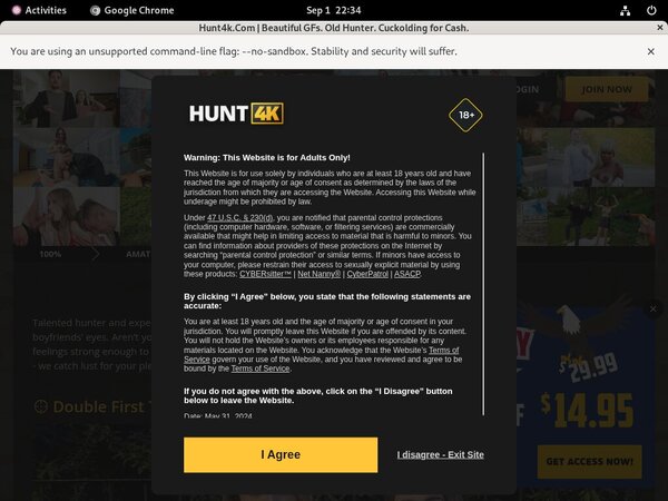 Get A Free Hunt4k.com Password