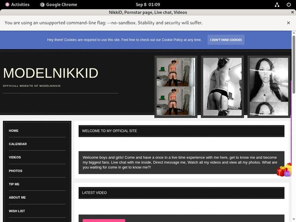 Get Modelnikki.modelcentro.com Free
