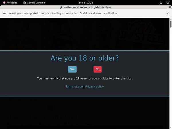 Girls In Steel With Webbilling.com