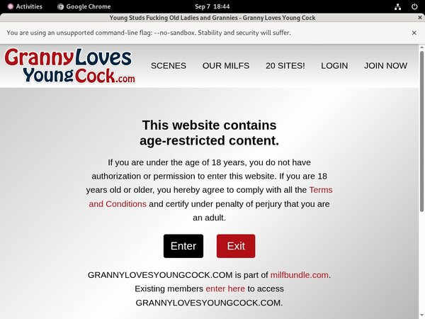 Granny Loves Young Cock Free Sex
