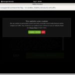 Hollys Hunnies Filme