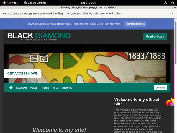 Honeyyleigh.modelcentro.com Mobile Pass