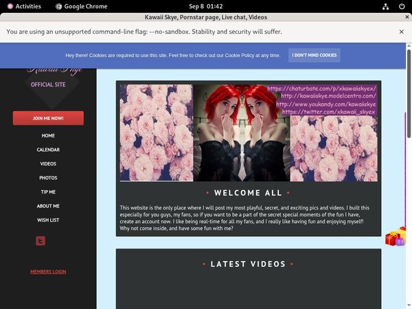 Kawaii Skye Promo Codes