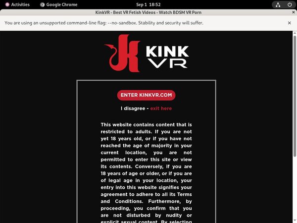 Kink VR Limited Offer