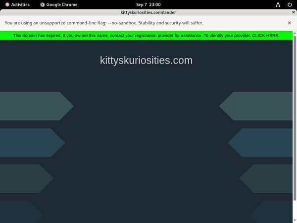Kittyskuriosities.com Automatische Incasso