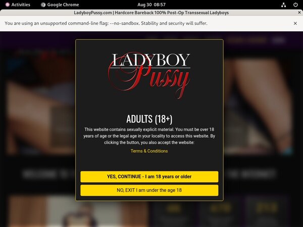 Ladyboy Pussy Hd Movies