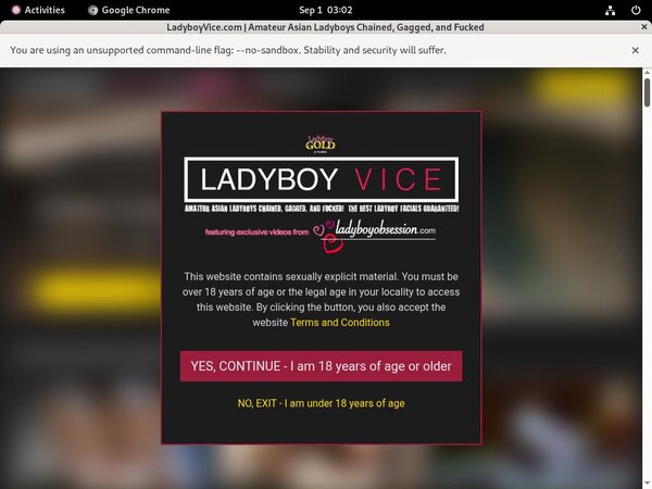 Ladyboy Vice Checkout