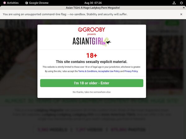 Ladyboy-ladyboy.com Discount Tour