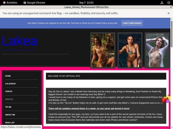 Lakea_Model Passwords