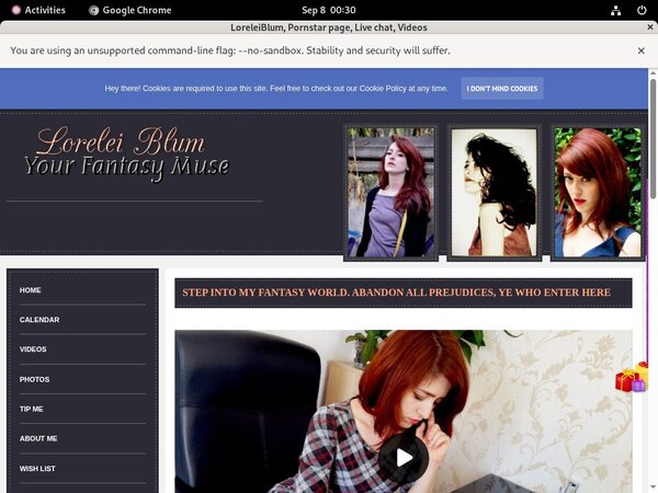 Loreleiblum.modelcentro.com Mobile Passwords