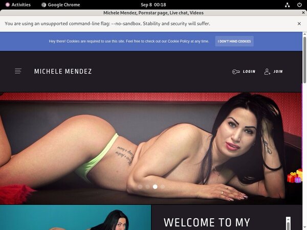 Michele Mendez Centrobill