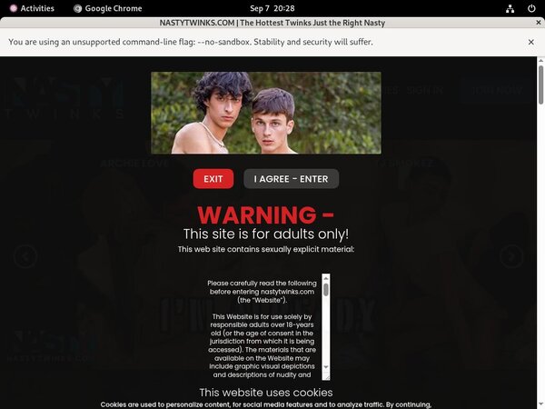 Nasty Twinks Pass Login