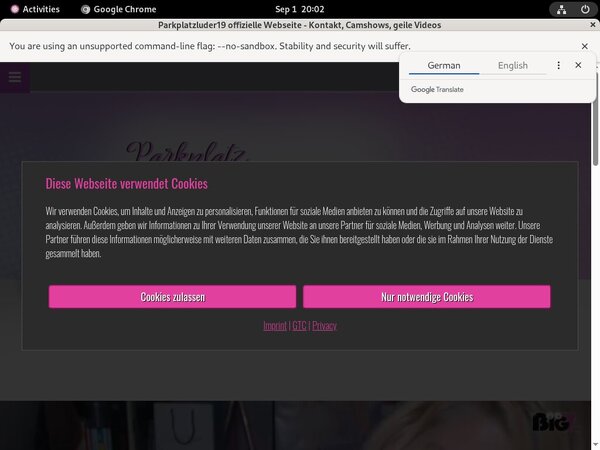 Parkplatzluder19.com With Paypal Acc