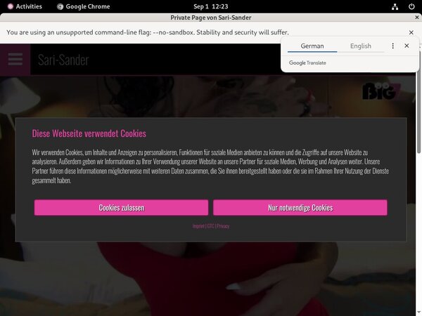 [Image: Sari-Sander-Free-Logins.jpg]