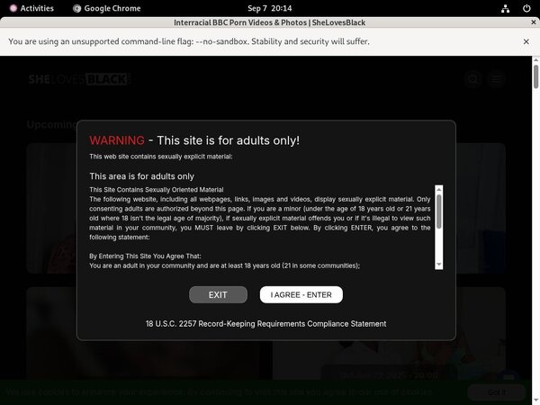 Shelovesblack.com Password Generator
