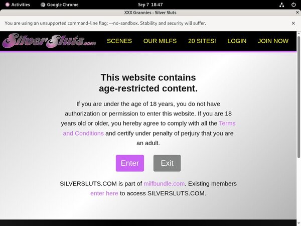 Silver Sluts Tranny Silver Sluts Tranny