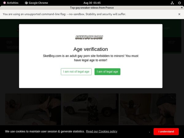 Sketboy.com Free Login Password
