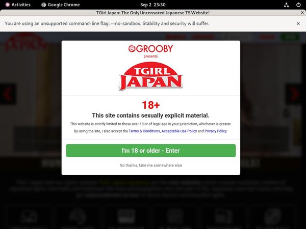 TGirl Japan Account Logins