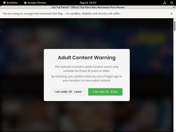 Tuktukpatrol.com Vxsbill Page