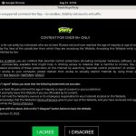 Twink Boys Party Movies