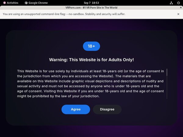 VR Porn Hack Account