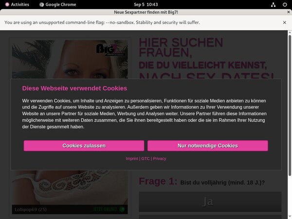 Yoursecretdream.com Clips