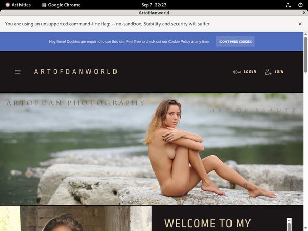 Artofdanworld Password Free